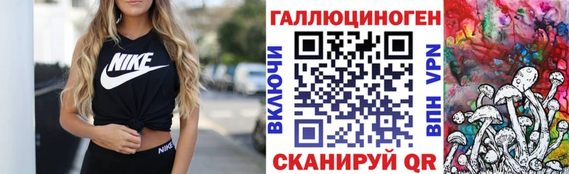 наркота  Одинцово  Галлюциногенные грибы Psilocybine cubensis 